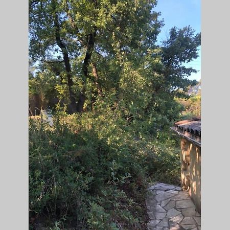 L'Escapade. Entre Aix Et Marseille, Studio Pleine Nature. Fuveau Εξωτερικό φωτογραφία