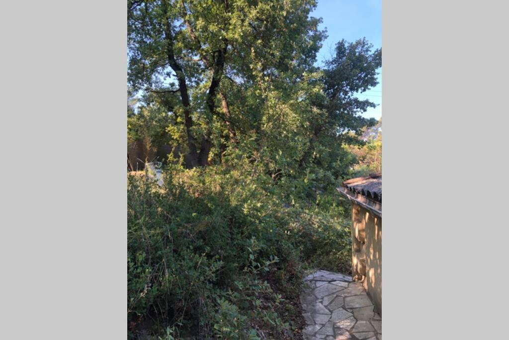 L'Escapade. Entre Aix Et Marseille, Studio Pleine Nature. Fuveau Εξωτερικό φωτογραφία